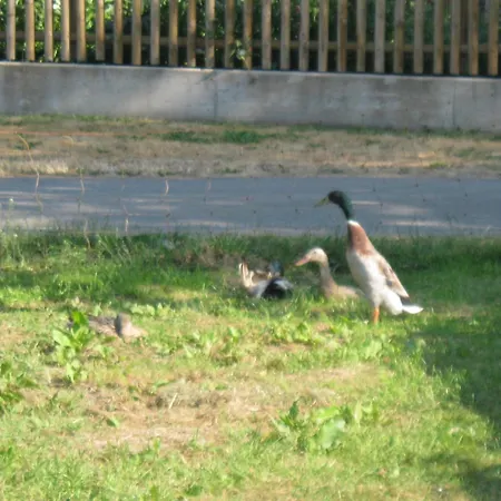 Ξενοδοχείο Stierstall-suite Wahlenau