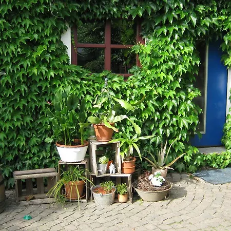 Stierstall-suite