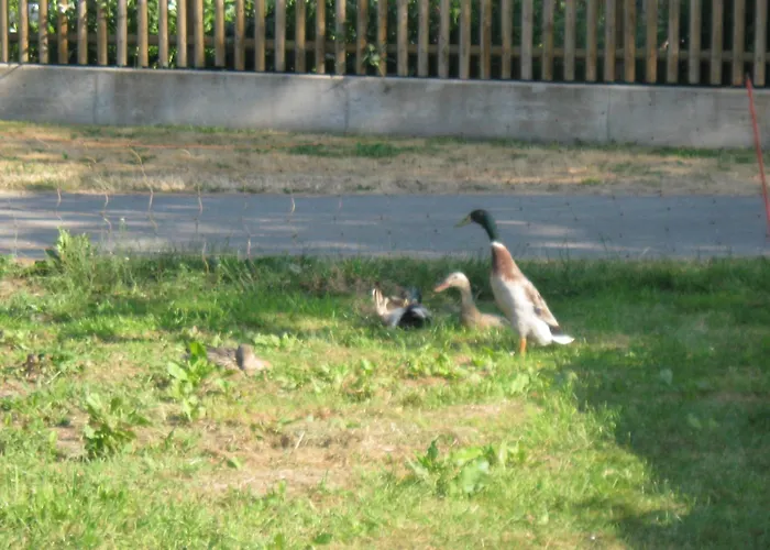 Hotel Stierstall-suite Wahlenau