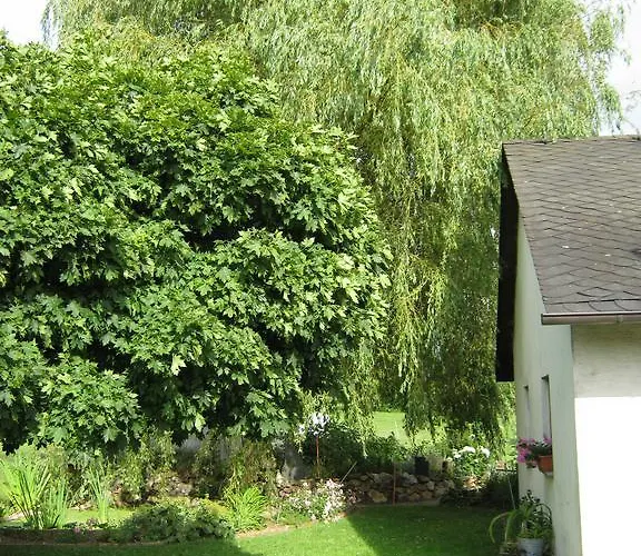 Stierstall-suite 2* Wahlenau